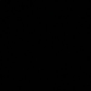 Meet your Posher, Jaime